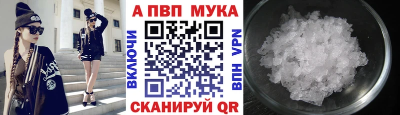 Альфа ПВП СК КРИС Новозыбков