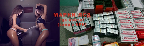 гашик Михайловка