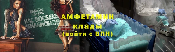 стаф Алексин