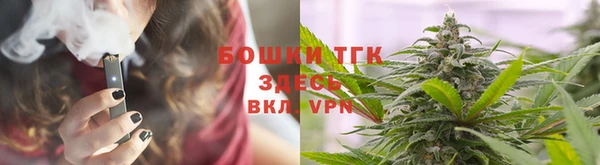 стаф Алексин