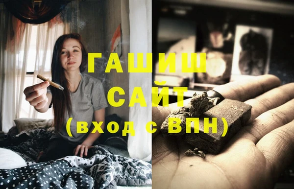 стаф Алексин