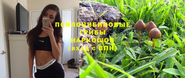 соль курить ск Алзамай