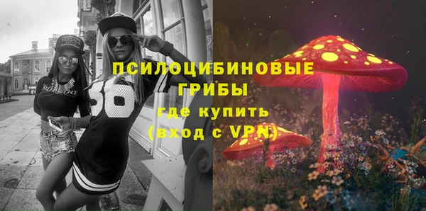 стаф Алексин