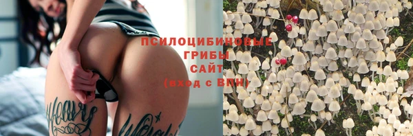 соль курить ск Алзамай