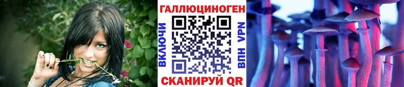 Галлюциногенные грибы GOLDEN TEACHER цены МЕГА как зайти Новозыбков