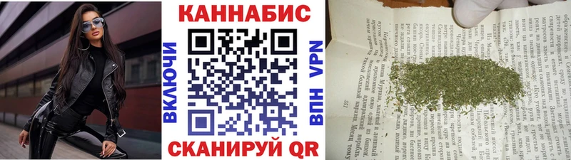 Конопля гибрид  где продают наркотики  Новозыбков 